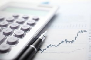Черные лебеди. Какие опасности поджидают экономику России в 2024 году