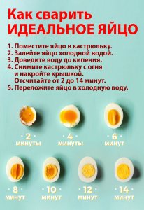 Минсельхоз подтвердил ожидания снижения цен на яйца в ближайшее время