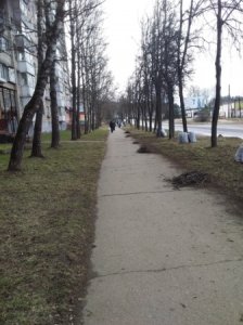 Ждем субботников?