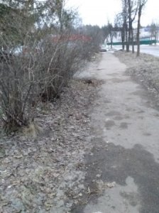 Ждем субботников?