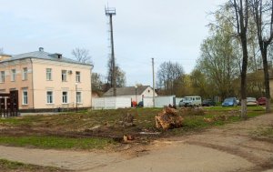 Очередная вырубка деревьев...