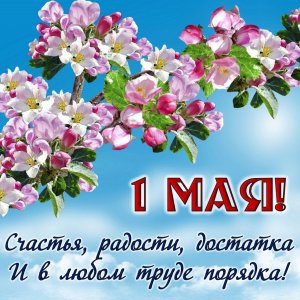 Мир, труд май. Дача, картошка, шашлык.