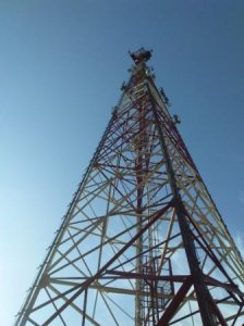Борщевик завелся в городском парке