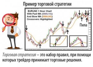 Кто такие трейдеры и как они выбирают торговые стратегии