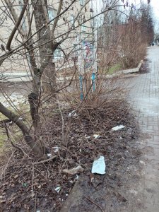 Субботникам бойкот!