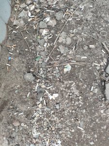 Администрация во главе с Главой города Романом Захаровым БЕЗДЕЙСТВУЕТ