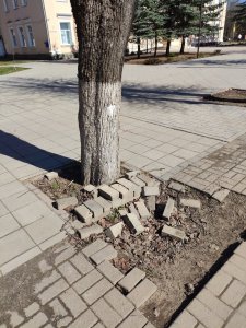 Время собирать камни - 5