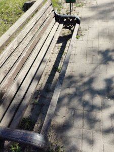 Гуляем по городу вместе 29.04.2025