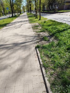 Гуляем по городу вместе 29.04.2025