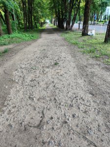 Начались работы по реконструкции и благоустройству городского парка