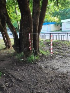 Начались работы по реконструкции и благоустройству городского парка