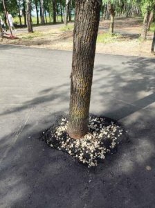 Три раза на одно место укладываем асфальт