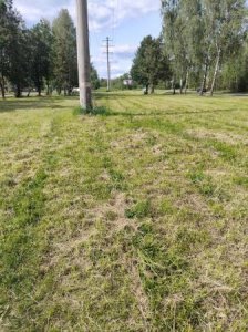 Три раза на одно место укладываем асфальт