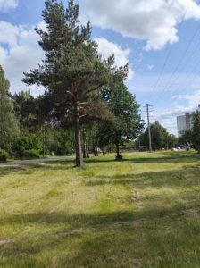 Три раза на одно место укладываем асфальт