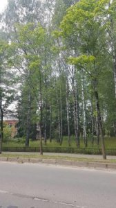 Пора использовать экологичные методы