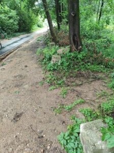 Благоустройство сквера на Банном озере. Как идут дела?