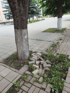 Время собирать камешки. Что бы это значило?