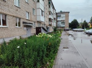 Бюджетная заявка № 4. Межпрограмье. Дебилизм местных властей.