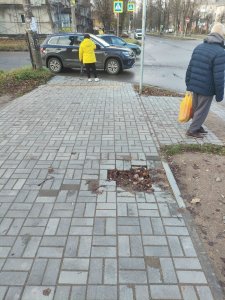 Всякая всячина 03.11.2025