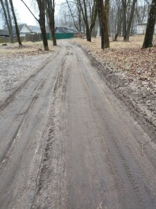 Бобровьи плотины в парке